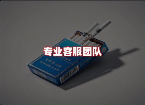 专业团队